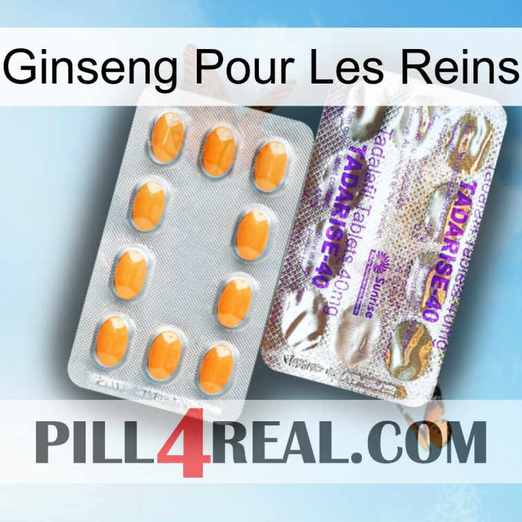 Ginseng For Kidney new12